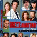 Grey's Anatomy (season 3) episodes