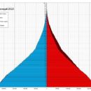 Demographics of Africa by country