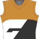 Australian rules football clubs established in 2009