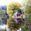 Forests and woodlands of Scotland