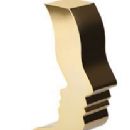 Awards disestablished in the 2010s