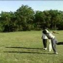 1977 in case law