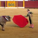 Frank Evans (bullfighter)