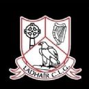 1899 in Gaelic games