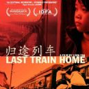Last Train Home