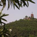 Buddhist temples in China by province or autonomous region