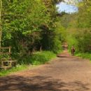 Woodland Trust