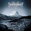 True North - Borknagar