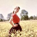 Brigitte Bardot