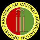 Brunei in international cricket