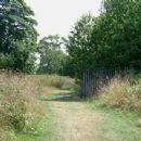 Hangman's Wood and Deneholes