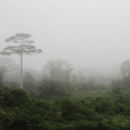 Biosphere reserves of Ivory Coast