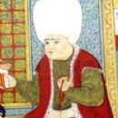 Gürcü Mehmed Pasha