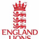 Men's national sports teams of Wales