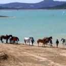 Lac de Montbel