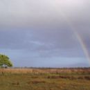 National parks in Western New Guinea