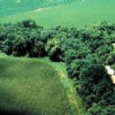 Riparian zone