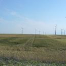 Parndorf Plain