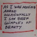 As I Was Moving Ahead Occasionally I Saw Brief Glimpses of Beauty