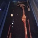 Prehistoric sites in Swansea
