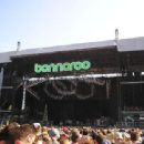 Bonnaroo Music Festival