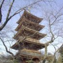 1625 in Japan