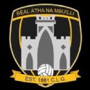 1881 in Gaelic games