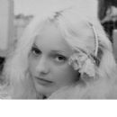 Ginger - 454 x 472