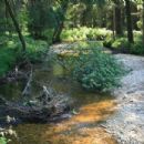 Traun basin