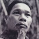Hồ Tùng Mậu