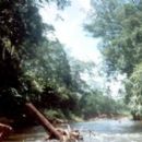 Biosphere reserves of Honduras