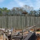 Museums in Macon County, Georgia