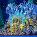 Corina Mrazek- Reina del Carnaval de Santa Cruz de Tenerife 2024- Selection Night - 454 x 331