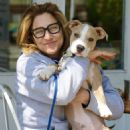 Edie Falco – Spotted with her dog Mackie after having lunch in New York - 454 x 657