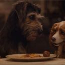 Lady and the Tramp (2019) - 454 x 283