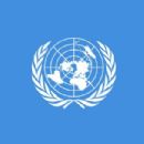 United Nations Security Council Resolution 2087