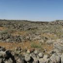Biosphere reserves of Syria