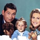 Bewitched - Dick York - 454 x 340
