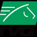TVG Network