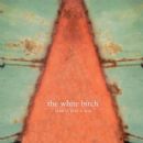 Star Is Just a Sun - The White Birch