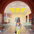 Alejandra Espino Miss Mesoamerica 2024 Preliminary Events - 454 x 568