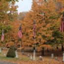 Maple Grove Cemetery (Mason, Michigan)