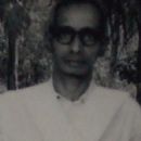 Linguists of Sanskrit