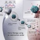 Gene therapy