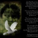 Chief Dan George  -  Wallpaper - 454 x 364