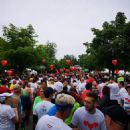 Marathons in Slovenia