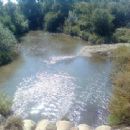 Neajlov basin