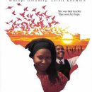 South African films