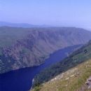 1294 in Scotland