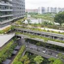 2015 crimes in Singapore